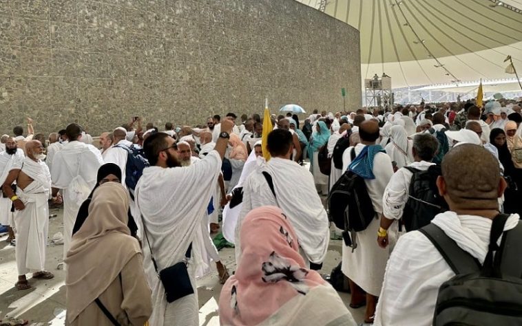 IMG 20230629 095957 800 x 500 pixel