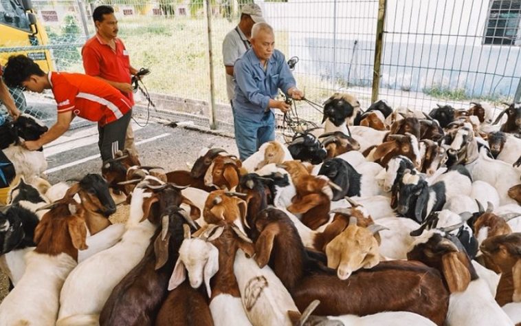 IMG 20230629 110305 800 x 500 pixel