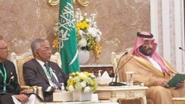 IMG 20230630 094536 800 x 500 pixel