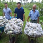 WhatsApp Image 2023 06 03 at 17.35.33