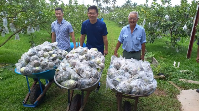 WhatsApp Image 2023 06 03 at 17.35.33