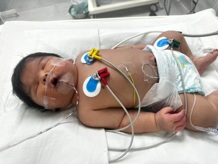 WhatsApp Image 2023 06 05 at 14.27.27