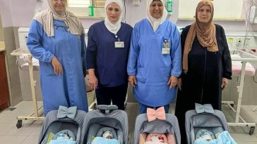 WhatsApp Image 2023 06 14 at 8.46.24 PM