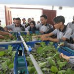 WhatsApp Image 2023 06 20 at 2.13.49 PM