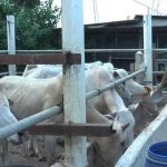 WhatsApp Image 2023 06 22 at 5.14.10 PM