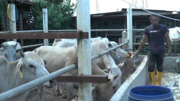 WhatsApp Image 2023 06 22 at 5.14.10 PM