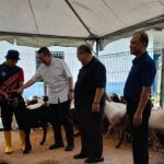 Kuota tambahan 1.09 juta liter petrol, diesel sempena Aidiladha 9 WhatsApp Image 2023 06 27 at 4.21.05 PM