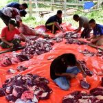 WhatsApp Image 2023 06 29 at 7.26.02 PM