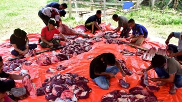 WhatsApp Image 2023 06 29 at 7.26.02 PM