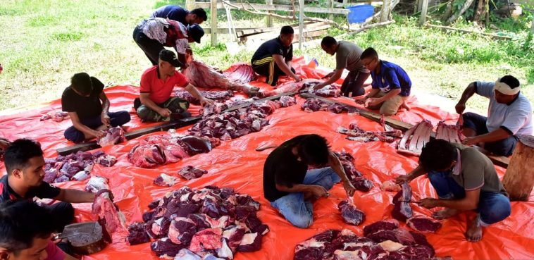 WhatsApp Image 2023 06 29 at 7.26.02 PM