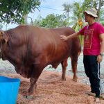 WhatsApp Image 2023 06 29 at 8.23.07 PM