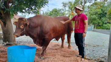 WhatsApp Image 2023 06 29 at 8.23.07 PM