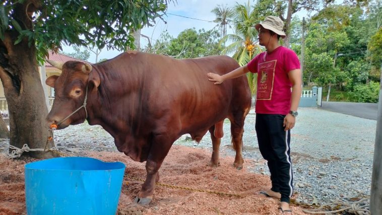 WhatsApp Image 2023 06 29 at 8.23.07 PM