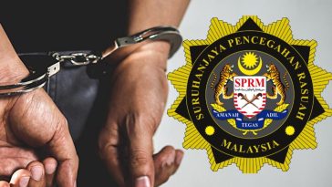 4293130C D774 41B6 A18D 407208E12A3819052212101708220110