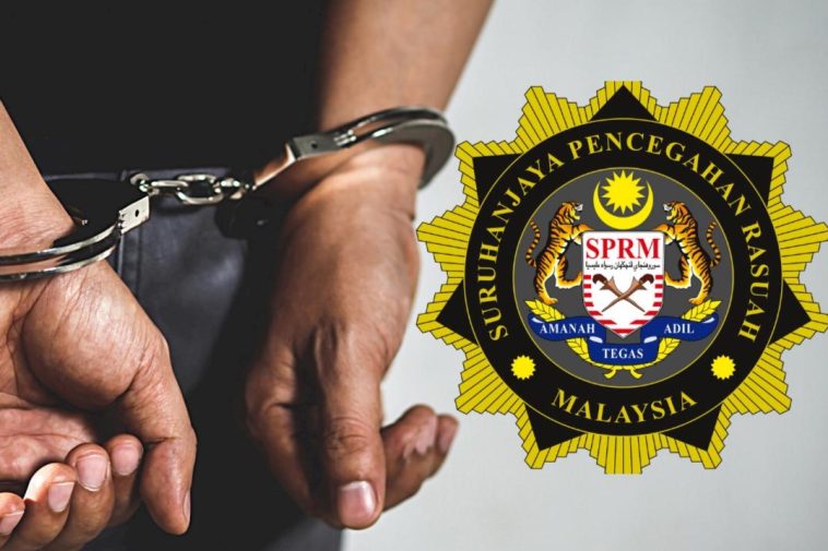 4293130C D774 41B6 A18D 407208E12A3819052212101708220110