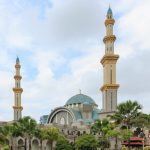 IMG 20230701 085818 800 x 500 pixel