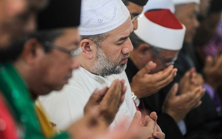 IMG 20230701 110752 800 x 500 pixel