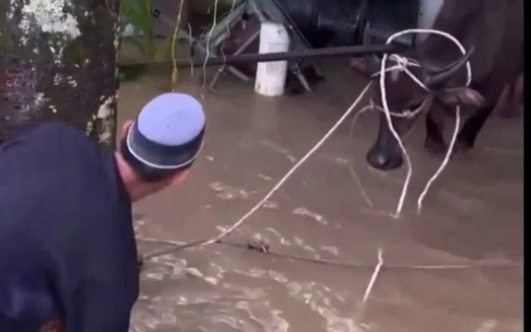 IMG 20230702 100014 800 x 500 pixel