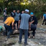 IMG 20230702 121635 800 x 500 pixel