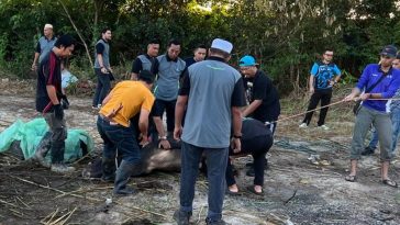 IMG 20230702 121635 800 x 500 pixel