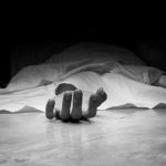 IMG 20230702 122853 800 x 500 pixel