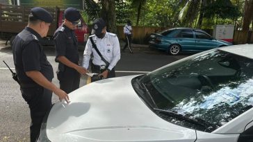 IMG 20230703 131041 800 x 500 pixel