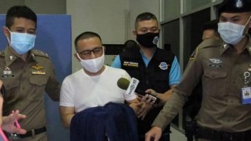 IMG 20230704 074658 800 x 500 pixel