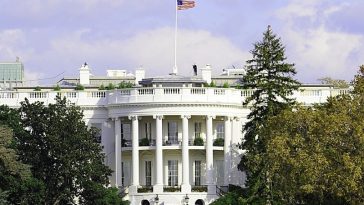 IMG 20230705 075548 800 x 500 pixel