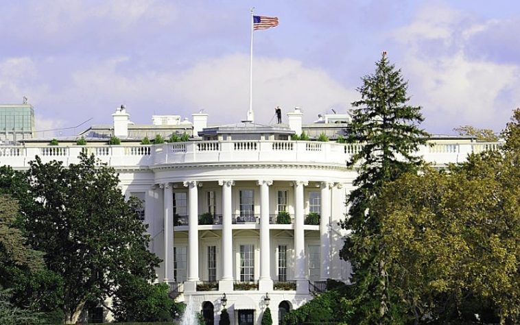 IMG 20230705 075548 800 x 500 pixel