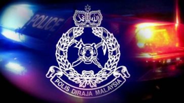 IMG 20230706 104146 800 x 500 pixel