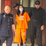 IMG 20230706 122627 800 x 500 pixel