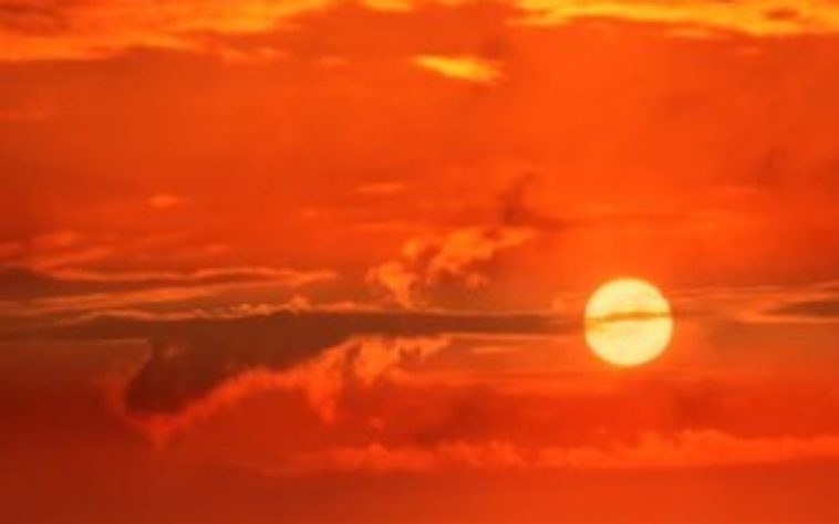 IMG 20230707 075209 800 x 500 pixel