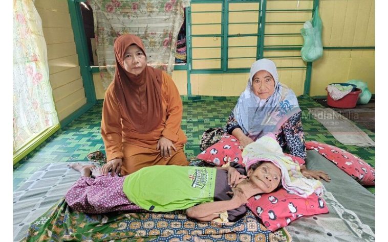 IMG 20230707 095721 800 x 500 pixel