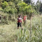 IMG 20230707 141544 800 x 500 pixel