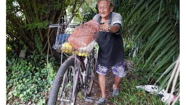 IMG 20230708 082942 800 x 500 pixel