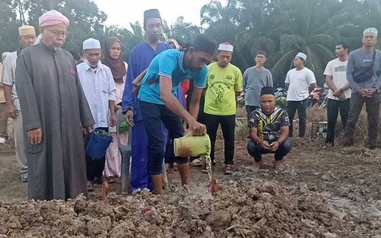 IMG 20230708 085509 800 x 500 pixel