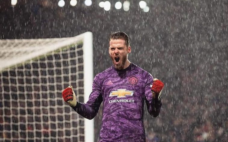 IMG 20230708 234114 800 x 500 pixel