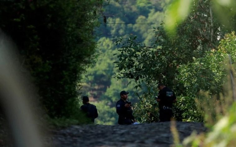 IMG 20230710 075311 800 x 500 pixel