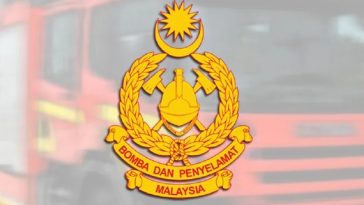 IMG 20230710 144319 800 x 500 pixel