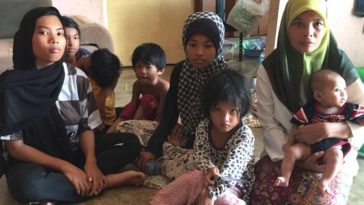 IMG 20230711 084654 800 x 500 pixel