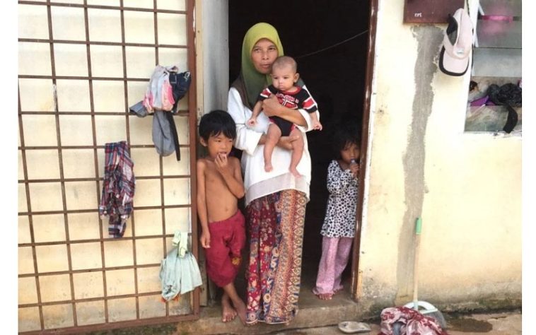 IMG 20230711 084921 800 x 500 pixel