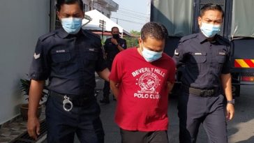 IMG 20230712 175714 800 x 500 pixel