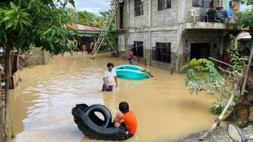 IMG 20230713 083200 800 x 500 pixel