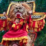 IMG 20230713 104549 800 x 500 pixel