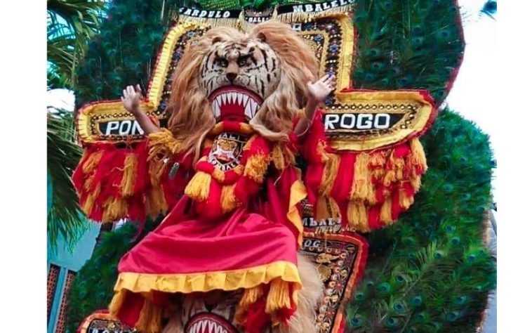 IMG 20230713 104549 800 x 500 pixel