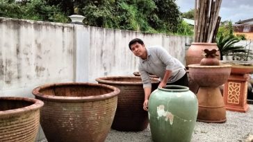 IMG 20230714 101350 800 x 500 pixel