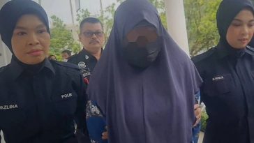 IMG 20230714 110853 800 x 500 pixel