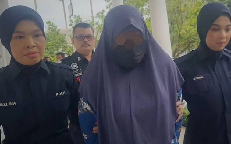 IMG 20230714 110853 800 x 500 pixel