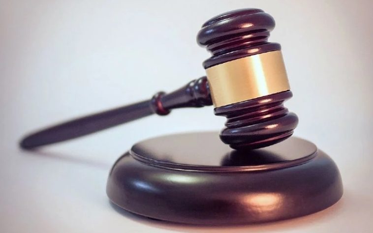 IMG 20230714 141610 800 x 500 pixel