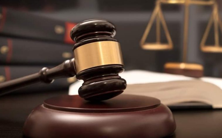 IMG 20230714 143404 800 x 500 pixel